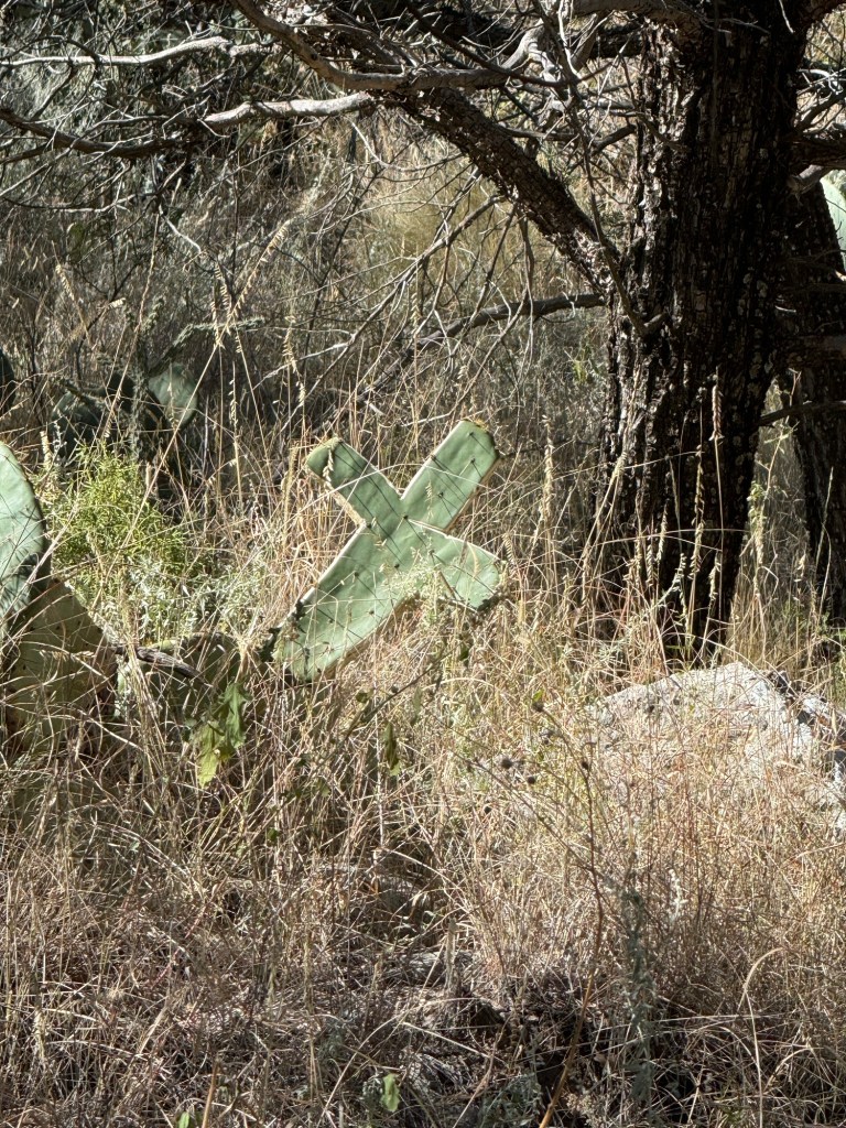 img_2088